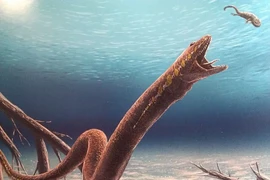 Bí ẩn khó giải loài lưỡng cư 300 triệu tuổi, cơ thể y hệt rắn 