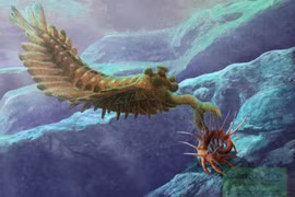 Quái vật 5 mắt thời Cambri, vòi như máy hút bụi