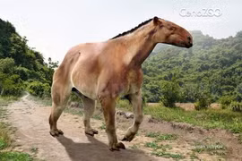 Loài ngựa kỳ dị nhất hành tinh, móng vuốt dài 20 cm, cao gần 2,5 mét 