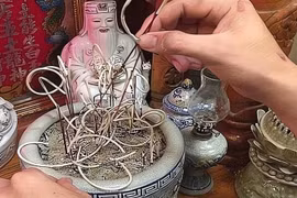 6 việc không làm khi tỉa chân nhang nếu muốn gia đạo yên ấm