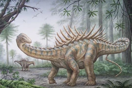 Bí ẩn khó giải về loài khủng long khổng lồ cơ thể khác lạ 