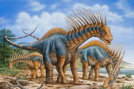 Khủng long kỳ dị nhất hành tinh, gai cổ mọc dựng đứng