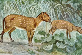 Bí mật ly kỳ về tổ tiên ngựa cổ đại khiến giới khoa học sửng sốt