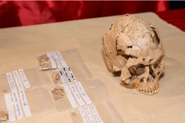 Phát hiện khảo cổ chấn động ở Di sản thế giới Tràng An