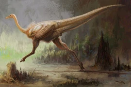 Soi 'vận động viên điền kinh' của thế giới khủng long với tốc độ 'ánh sáng'