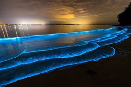 Sóng biển phát sáng huyền bí ở Việt Nam khiến thế giới kinh ngạc