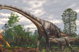 Sốc với loài vật lớn nhất hành tinh, nặng bằng 18 con voi 