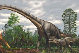 Sốc với loài vật lớn nhất hành tinh, nặng bằng 18 con voi 