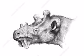 Cận cảnh loài thú có bộ mặt đáng sợ nhất từng tồn tại trên quả đất