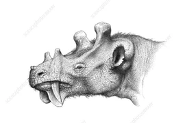 Cận cảnh loài thú có bộ mặt đáng sợ nhất từng tồn tại trên quả đất