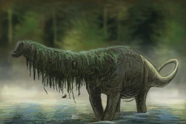  Sinh vật giống khủng long cổ dài vẫn tồn tại trong đầm lầy châu Phi? 