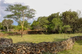 Khám phá cấu trúc phòng thủ 600 tuổi bí hiểm nhất châu Phi 