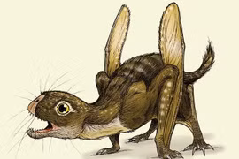 Lộ diện 'ma cà rồng' đáng sợ trong thế giới khủng long