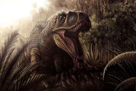 Kỳ thú loài khủng long được mệnh danh 'T. rex phiên bản châu Á'