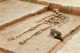 Hiện vật bí hiểm ở ngoại thành Hà Nội khiến giới khảo cổ xôn xao