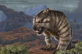 Sư tử túi - kẻ săn mồi đáng sợ nhất từng tồn tại trên Trái Đất 