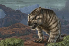 Sư tử túi - kẻ săn mồi đáng sợ nhất từng tồn tại trên Trái Đất 