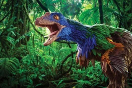 Choáng với loài khủng long có màu sắc rực rỡ nhất từng được biết đến 