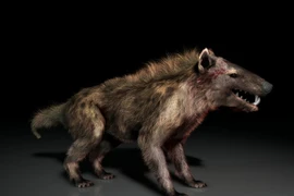 Loài “linh cẩu” khủng khiếp nhất từng xuất hiện, bá chủ Trái Đất 