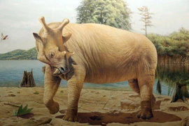 Quái thú nửa hà mã, nửa tê giác sở hữu răng nanh đáng sợ 