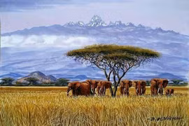 Cảnh quan hùng vĩ choáng ngợp ở nơi có ngọn núi cao thứ hai châu Phi 