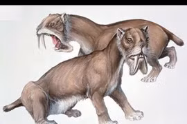 Lộ diện quái thú có túi hung tợn nhất thời tiền sử