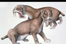 Lộ diện quái thú có túi hung tợn nhất thời tiền sử