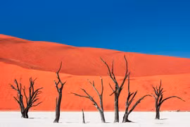 Những điều khó tin về sa mạc cổ xưa nhất hành tinh 