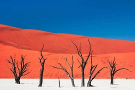 Những điều khó tin về sa mạc cổ xưa nhất hành tinh 