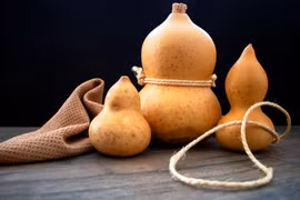 Quả bầu - từ món ăn dân dã đến vật phẩm cổ xưa của nhân loại 
