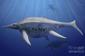 Tìm thấy thằn lằn cá khổng lồ 21m từng bá chủ đại dương