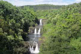 Loài khỉ đột quý hiếm cuối cùng ẩn náu tại vùng bảo tồn châu Phi