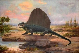 Tận mục tổ tiên của các loài động vật có vú, lưng đeo cánh buồm khủng