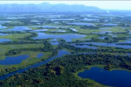 Choáng ngợp vùng đất ngập nước lớn nhất hành tinh 
