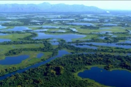 Choáng ngợp vùng đất ngập nước lớn nhất hành tinh 