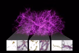 Công bố siêu bản đồ quy mô nhất về vũ trụ