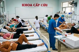 An Giang: 97 người ngộ độc sau khi ăn bánh bông lan trứng muối