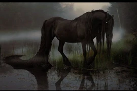 Loài ngựa khủng khiếp dìm chết vô số người vô tội ở Scotland 