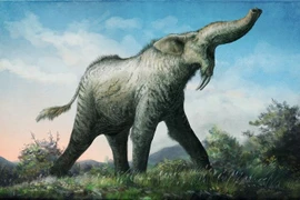 Ngắm loài voi tiền sử dị hợm nhất từng tồn tại