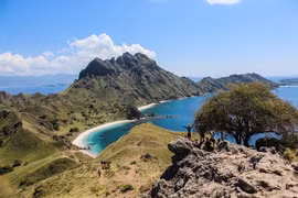 Ngỡ ngàng nơi ẩn náu của loài rồng Komodo lớn nhất thế giới