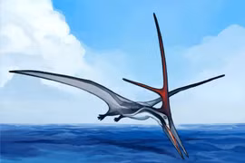 Dung mạo gây sốc của loài thằn lằn bay quái dị nhất hành tinh