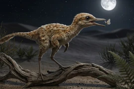 Tiết lộ sốc về loài khủng long nhỏ nhất từng tồn tại