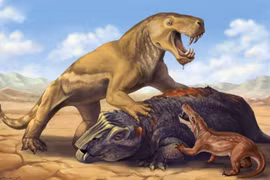 Răng nanh khủng khiếp của loài thú to lớn lâu đời hơn khủng long 