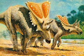 Sinh vật sở hữu chiếc khiên chắn độc nhất vô nhị thế giới khủng long 