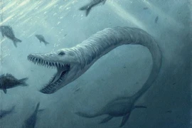 Loài vật độc dị có 70 đốt sống cổ, dùng chiến thuật phục kích săn mồi