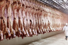 Các nước kiểm định thịt động vật nghiêm ngặt thế nào?