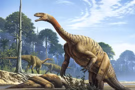 Tận mục loài khủng long cổ xưa nhất từng lang thang trên Trái Đất