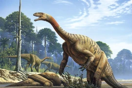 Tận mục loài khủng long cổ xưa nhất từng lang thang trên Trái Đất