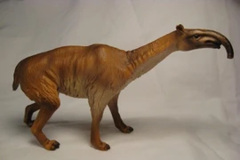 Loài vật kỳ lạ nhất hành tinh, cổ dài như hươu, chân ba ngón, có vòi 