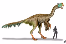 Sinh vật kỳ lạ làm đảo lộn quan niệm truyền thống về khủng long